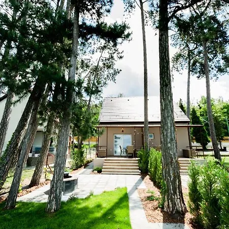 Part - B Epuelet - Privat Vizparttal *